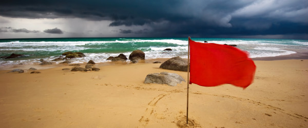 How Do Sign Language Interpreters Avoid Mentoring’s Dodgy Undertow? Avoid the Dodgy Undertow of Sign Language Interpreting