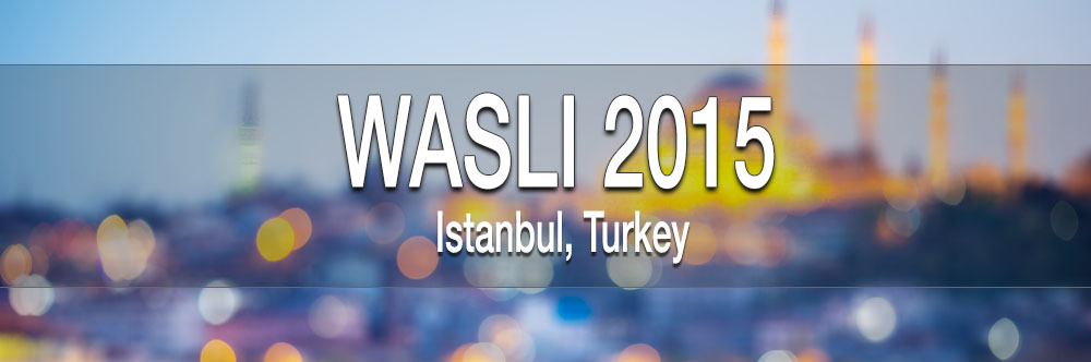 StreetLeverage Goes to Istanbul for WASLI 2015